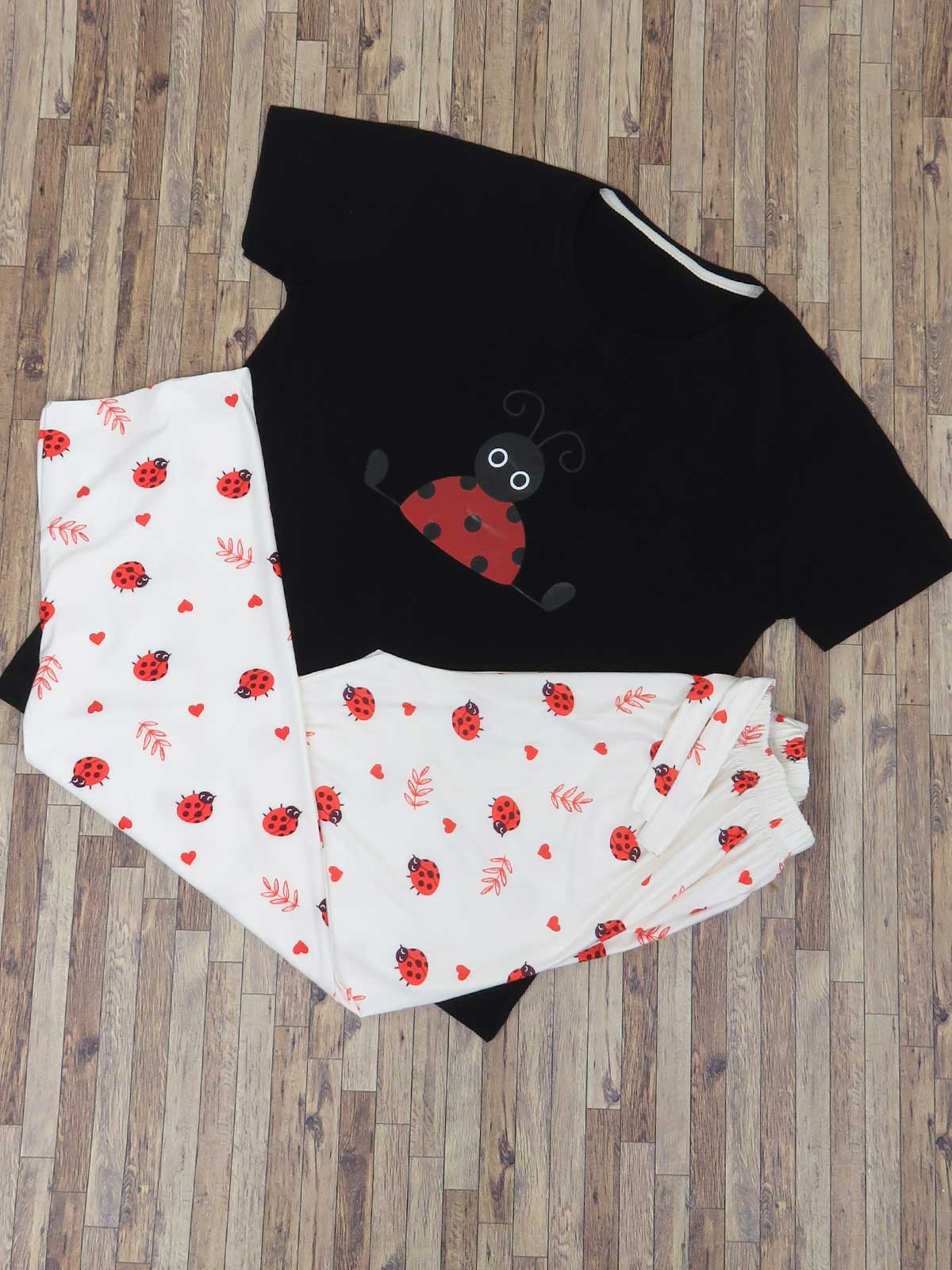 1143-lady-bug